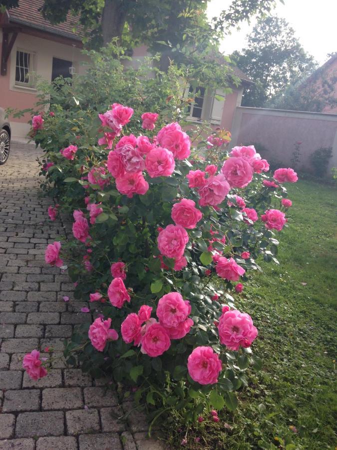 Bed and Breakfast Rose Garden Mezzanine Живерни Экстерьер фото
